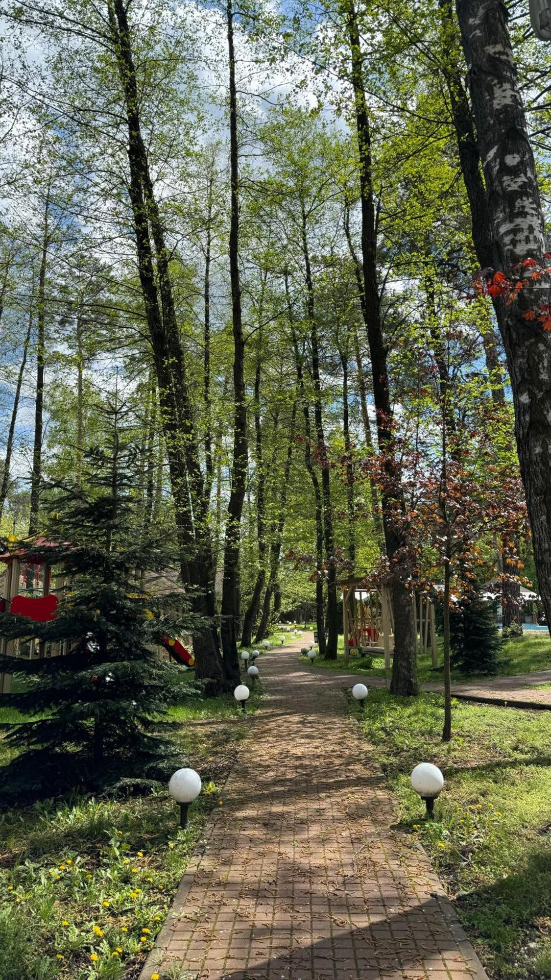 Tysha Forest Club Romankiv Kültér fotó